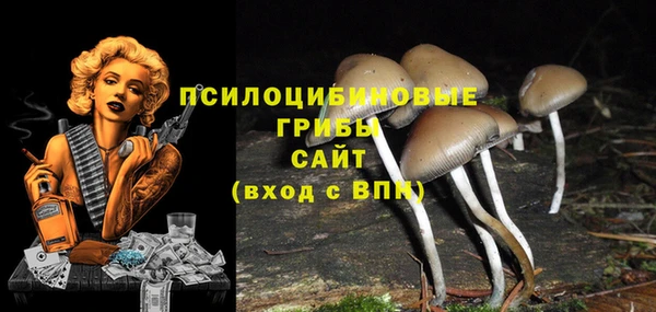 стафф Мещовск