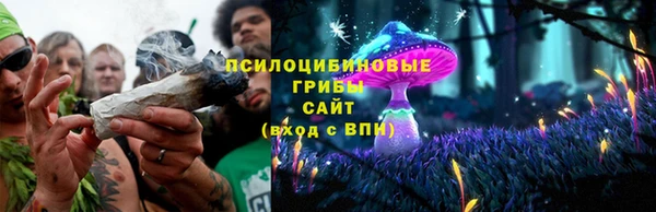 МДПВ Саяногорск