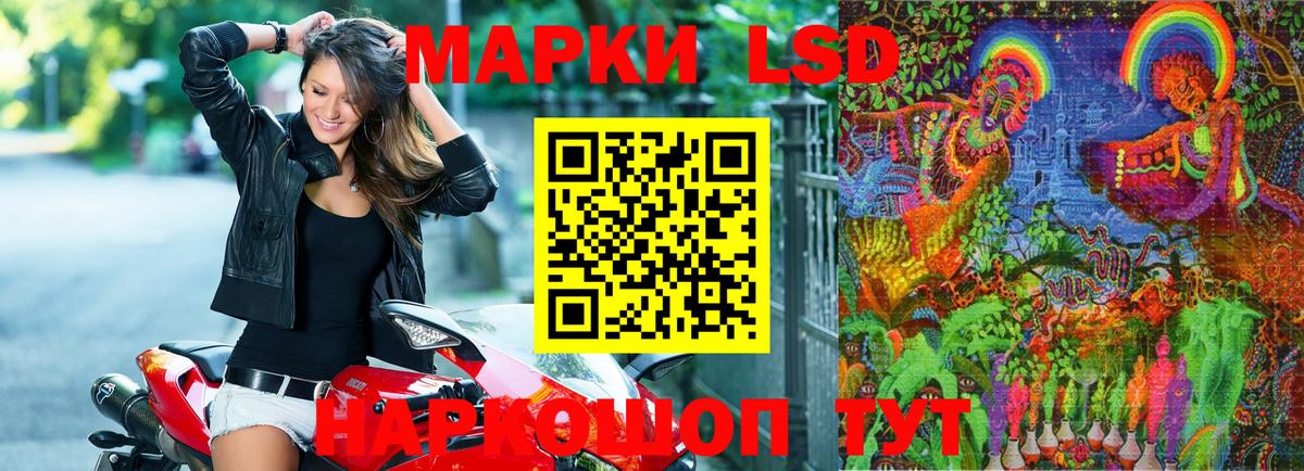 как найти закладки  Наркотические марки 1,8мг  Спасск-Дальний  Наркотические марки 1,8мг 