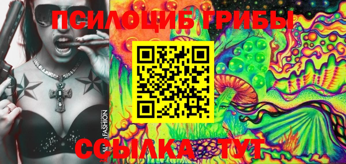 сколько стоит  Галлюциногенные грибы MAGIC MUSHROOMS  Вход с VPN  Спасск-Дальний  Галлюциногенные грибы Psilocybe 