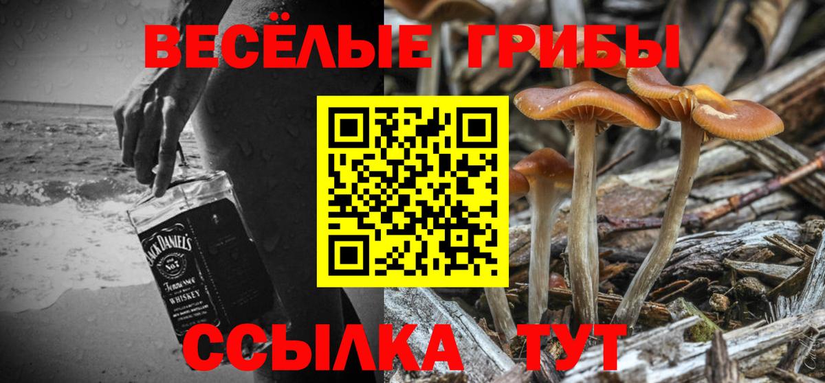 Псилоцибиновые грибы MAGIC MUSHROOMS Спасск-Дальний